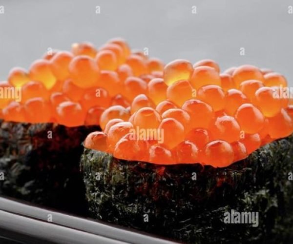 8f5e1916-4a99-4ec8-a91c-2bf4e3d6d350