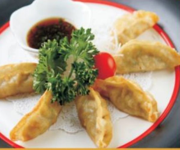 Gyoza Dumplings